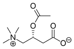 アセチル-L-カルニチン